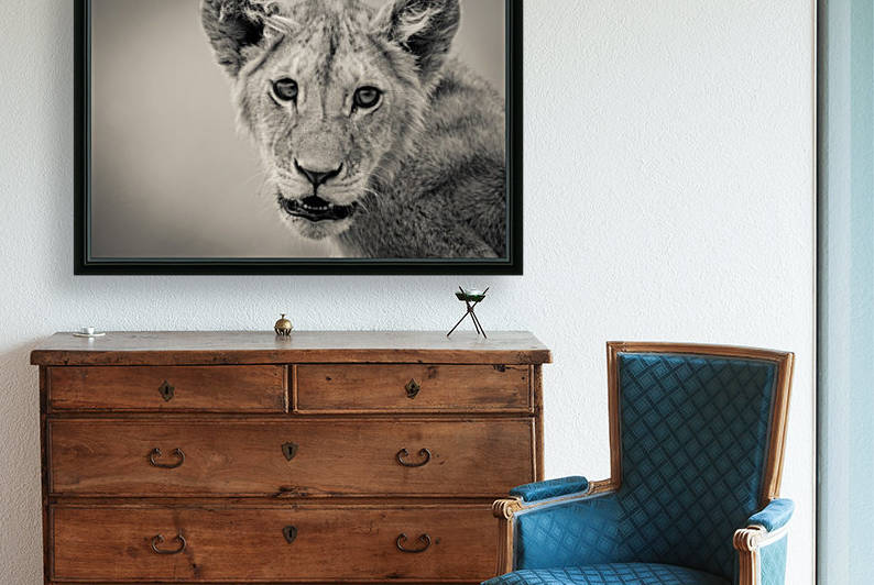 Little Prince - 2  by JADUPONT PHOTO