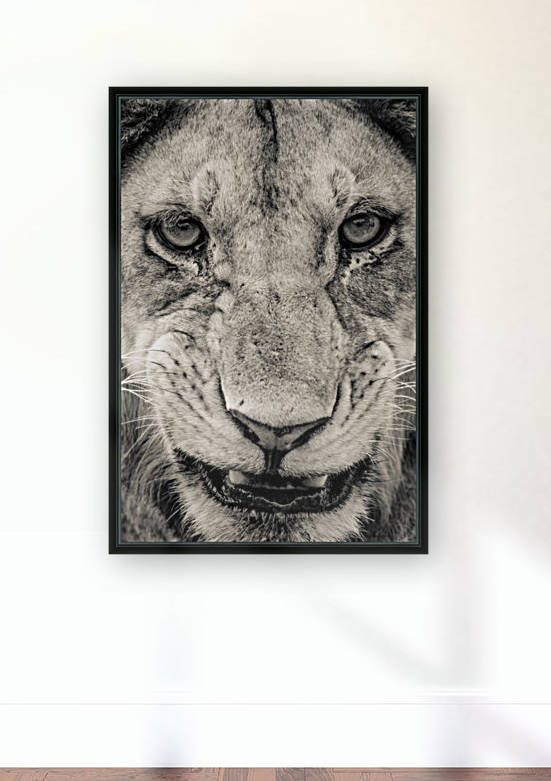 Grrrr by JADUPONT PHOTO