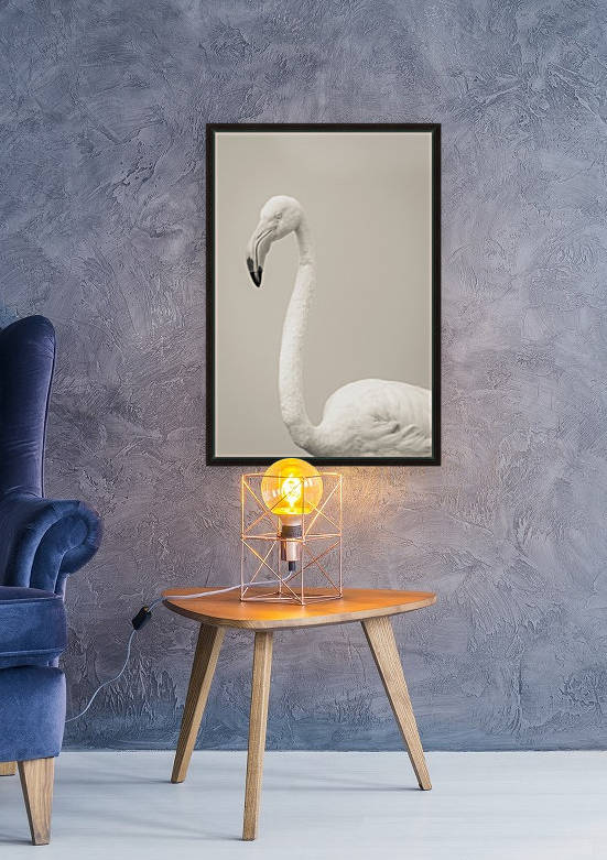 Fluffy by JADUPONT PHOTO