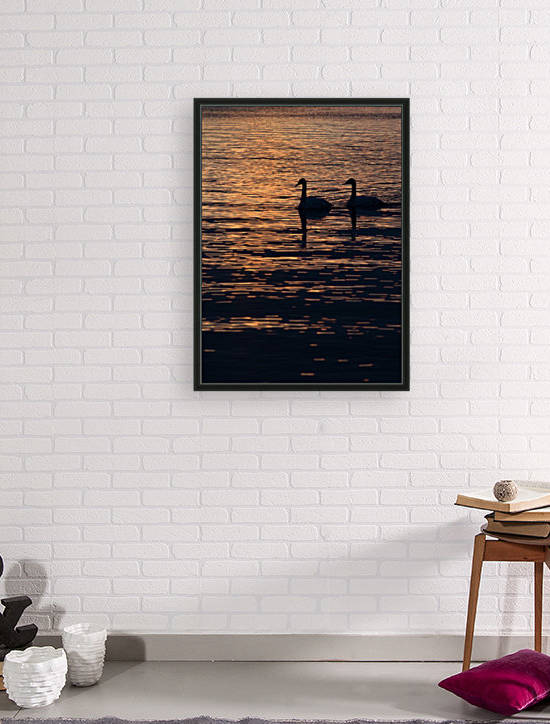 LaSalle Swans by Darren LeBlanc