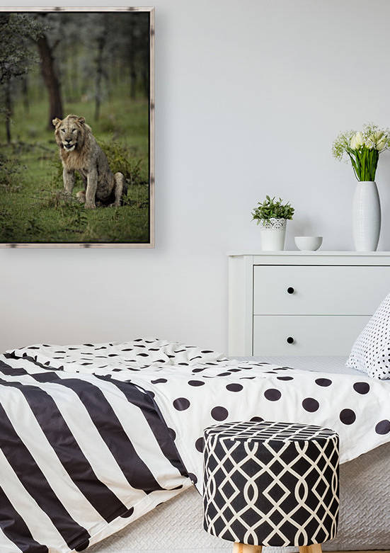 Lion under Rain by www.jadupontphoto.com by JADUPONT PHOTO