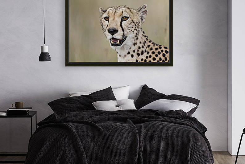 Cheetah Portrait by www.jadupontphoto.com by JADUPONT PHOTO