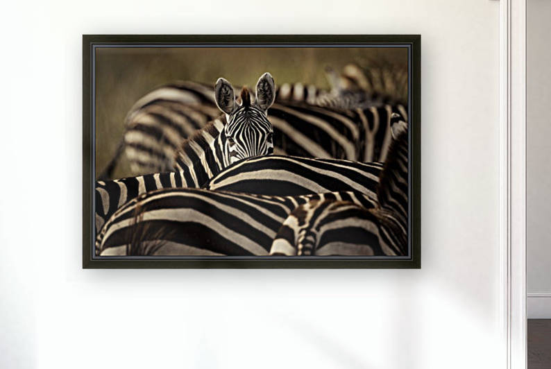 Between the Lines - Color by www.jadupontphoto.com by JADUPONT PHOTO