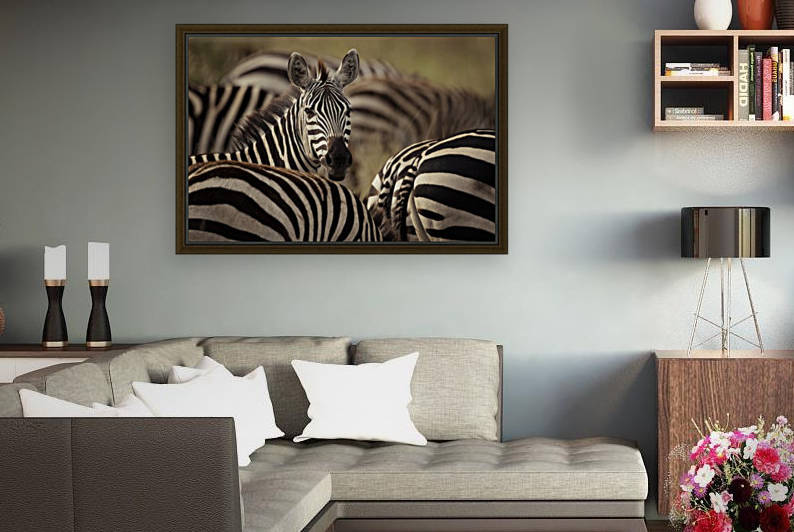 Who is there - color by www.jadupontphoto.com by JADUPONT PHOTO