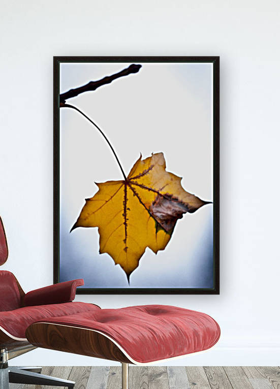 Nature 020 by Nicolas Gorse