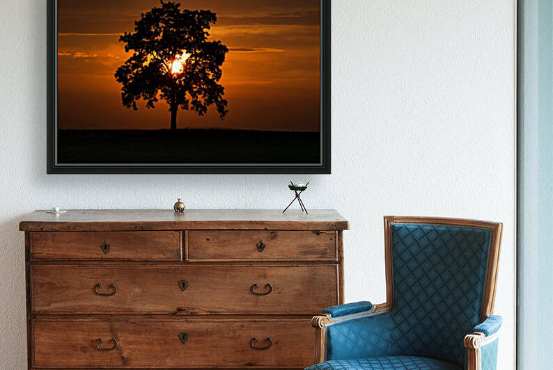 St. Georges Tree by Darren LeBlanc