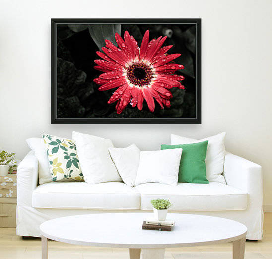 Red Flower by Darren LeBlanc