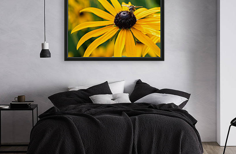 Paparazzi by Darren LeBlanc