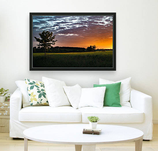 Morning Field by Darren LeBlanc