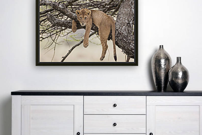 164A0128 by JADUPONT PHOTO