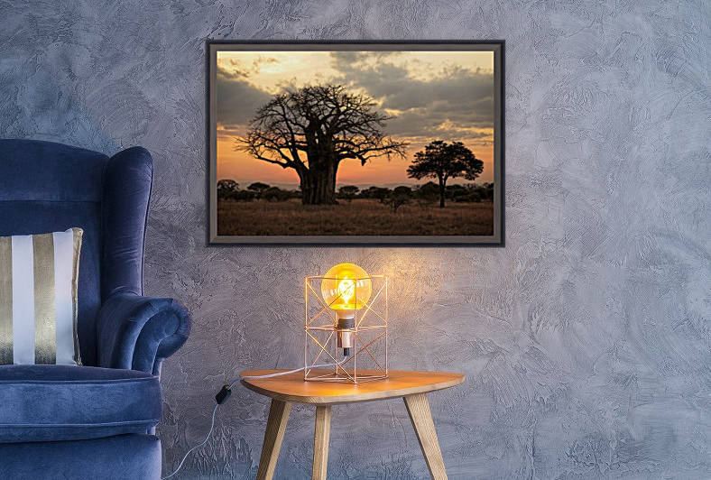 2S9A8480 Modifier by JADUPONT PHOTO