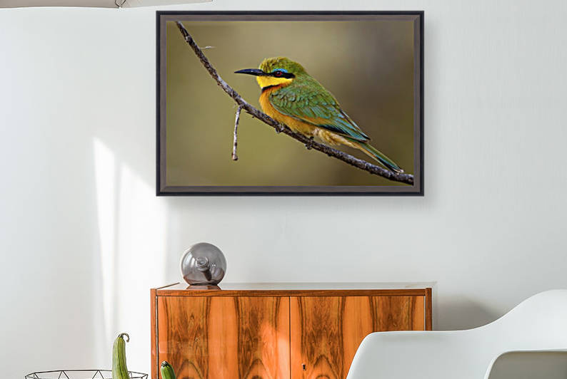 164A1450 Modifier by JADUPONT PHOTO