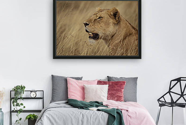 164A1810 by JADUPONT PHOTO