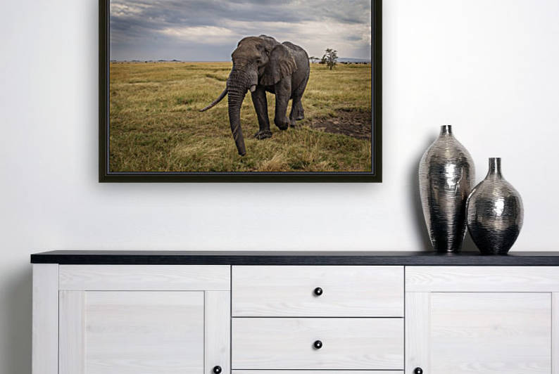 2S9A8723 Modifier 2 by JADUPONT PHOTO