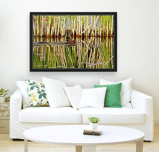 Muskrat And Cattails by Deb Oppermann