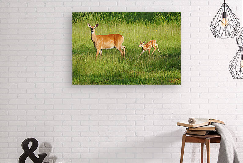 Wait For Me by Deb Oppermann