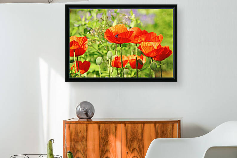 Poppy Garden by Deb Oppermann