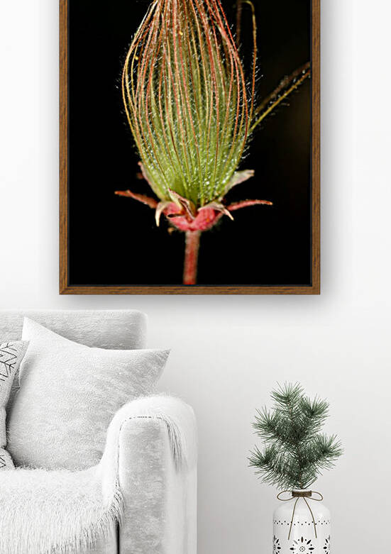 Smokin by Deb Oppermann