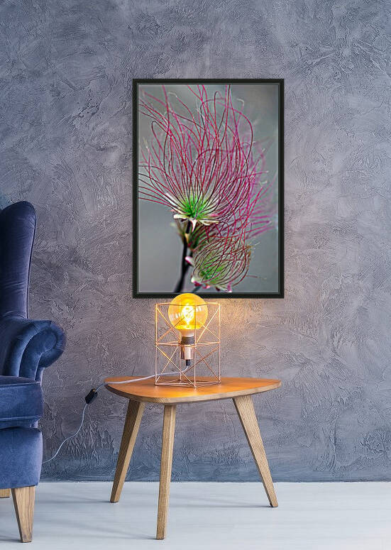 Prairie Smoke by Deb Oppermann