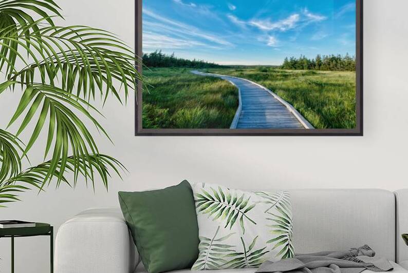 A walk at the Bog by Michel Soucy