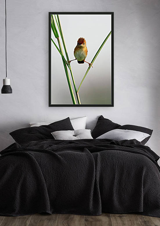 Kung Fu Master by 1x