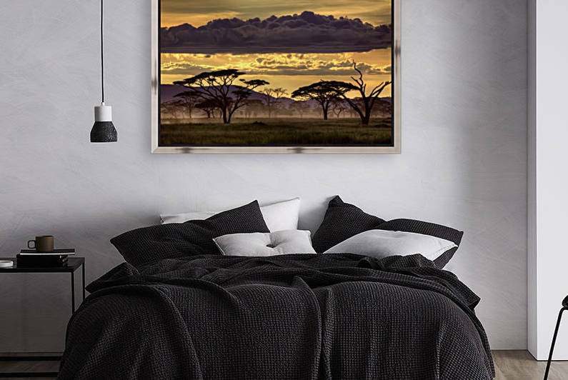 Good evening tanazania by 1x