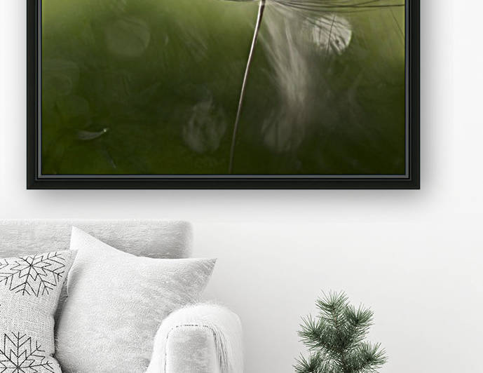 Shadows in the green by 1x