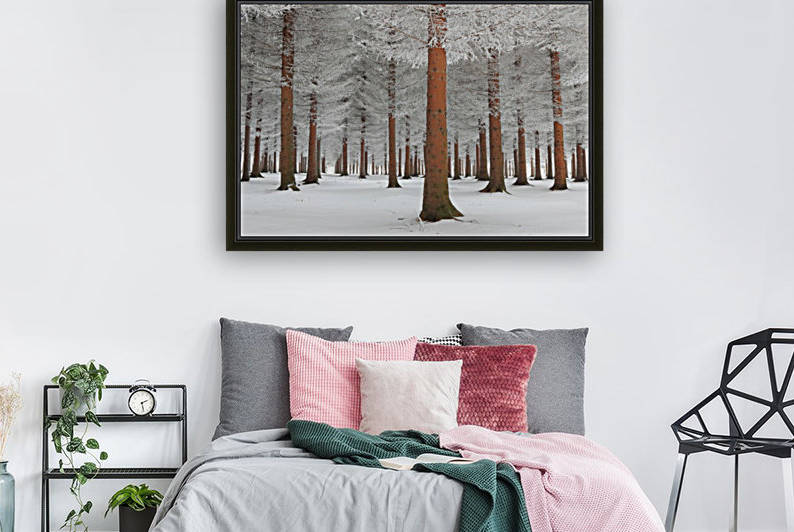 magical forest by 1x