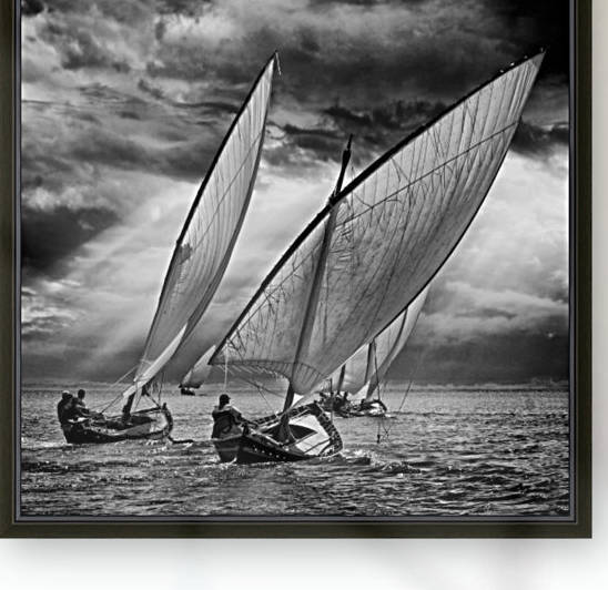 Sailboats and Light by 1x