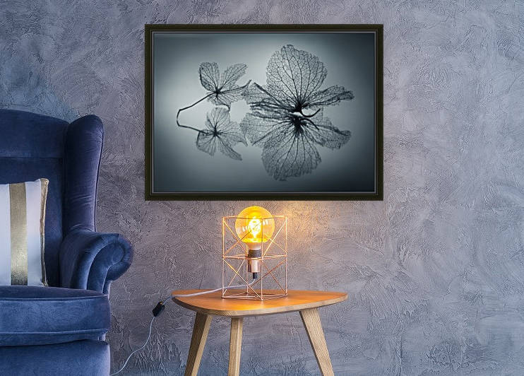 Ephemeral Beauty by 1x