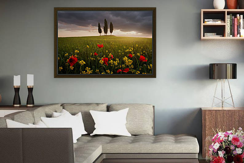 Blooming Tuscany by 1x