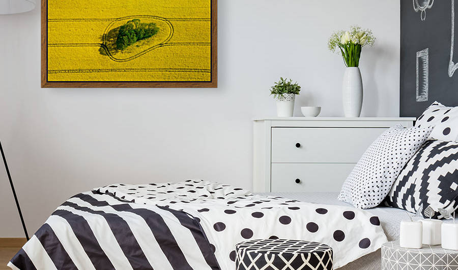 Island in the Field by 1x