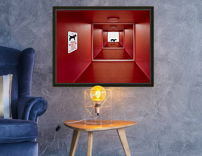 Dog on the Loose by 1x