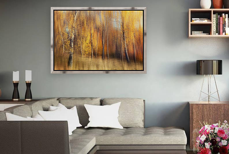 Autumn Birches by 1x