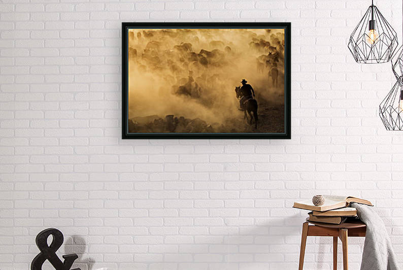 Cappadocia wild horses by 1x