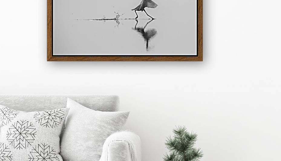 Dancing on the water by 1x