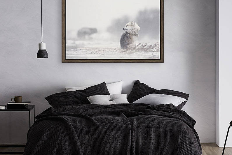 dogs in the storm by 1x