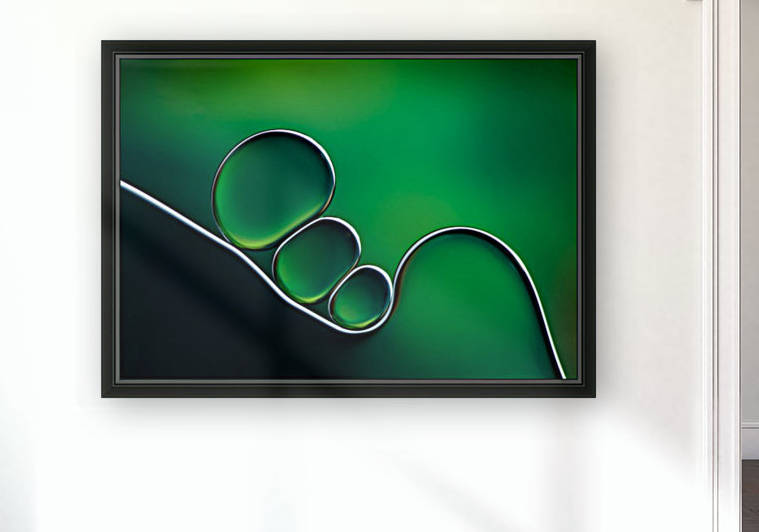 Shifting Shapes by 1x