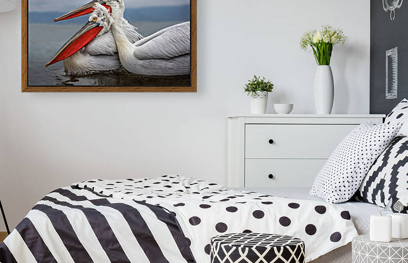 Dalmatian Pelicans by 1x