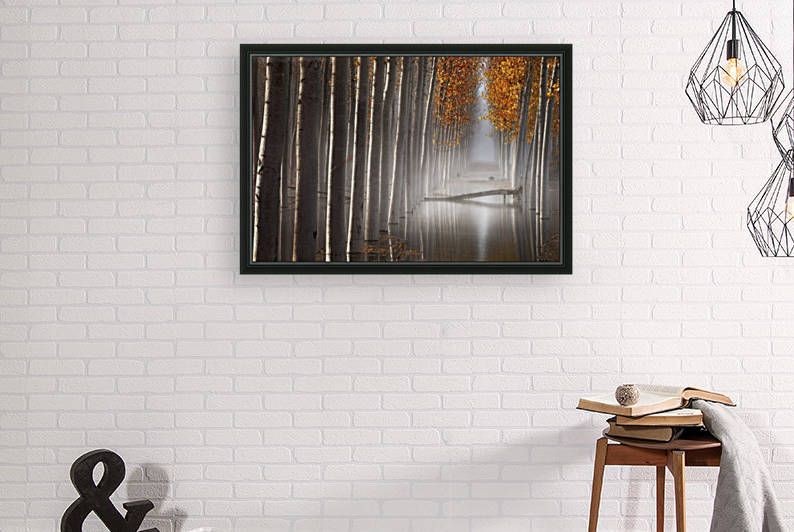 The Fallen Idol V by 1x