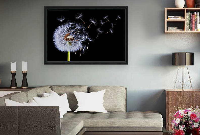 Dandelion Blowing by 1x
