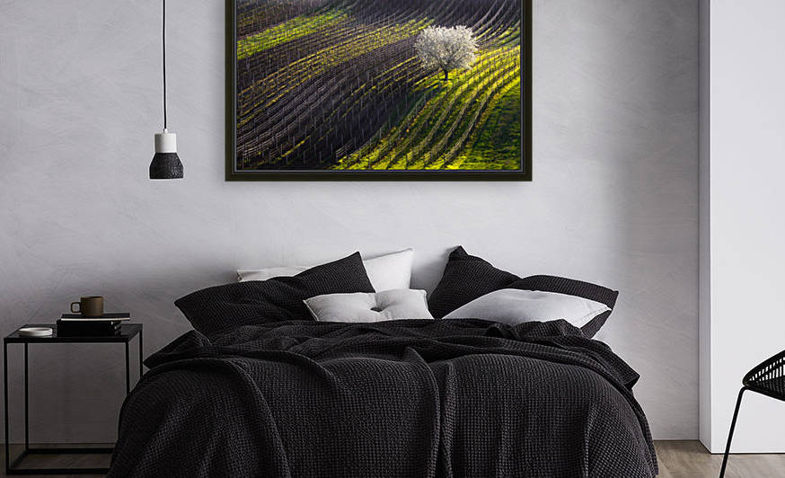 Strings of spring by 1x