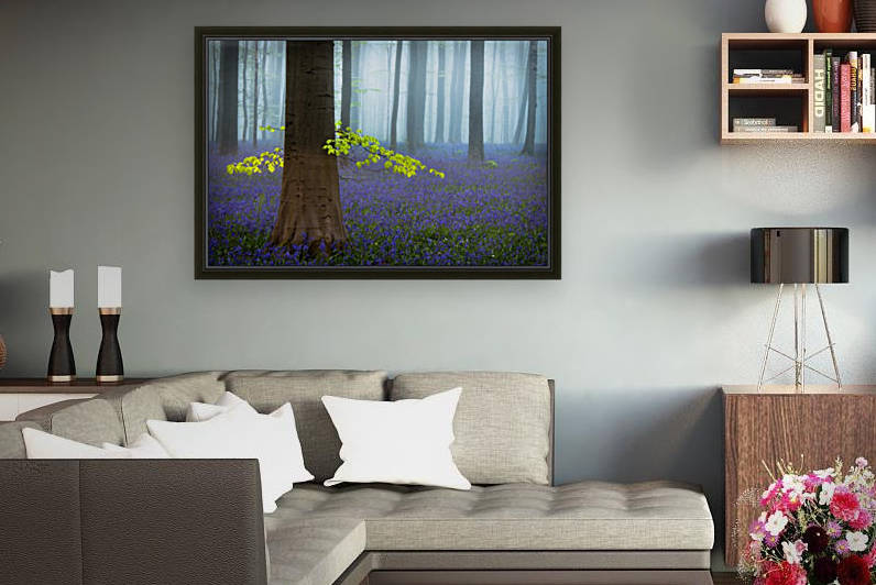 Spring........... by 1x