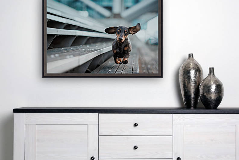 Ein kleiner Hund lA¤uft durch die Welt.... by 1x