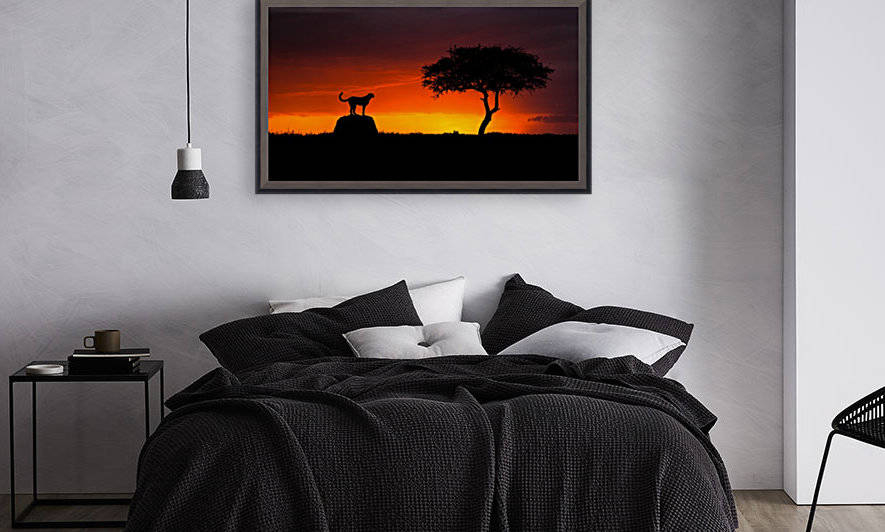 Looking for Something by 1x