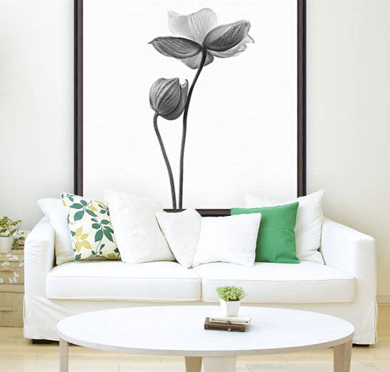 A little touch - monochrome by 1x