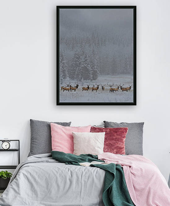 Standing in storm by 1x