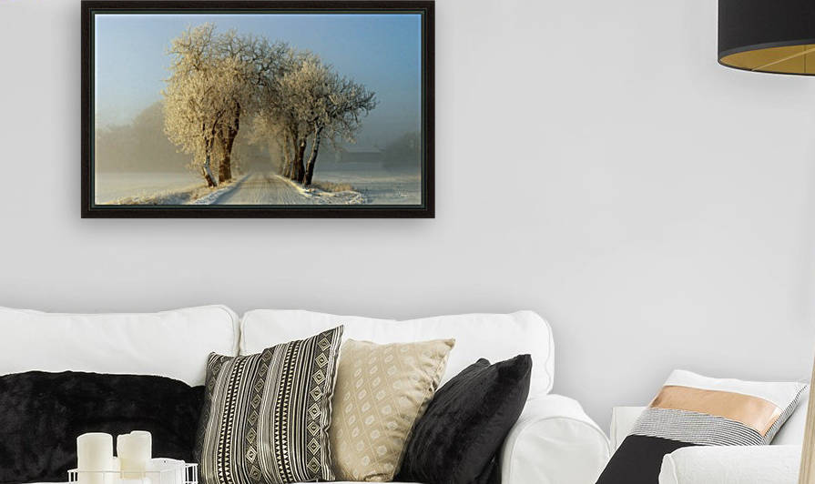 Winter  gateway by 1x