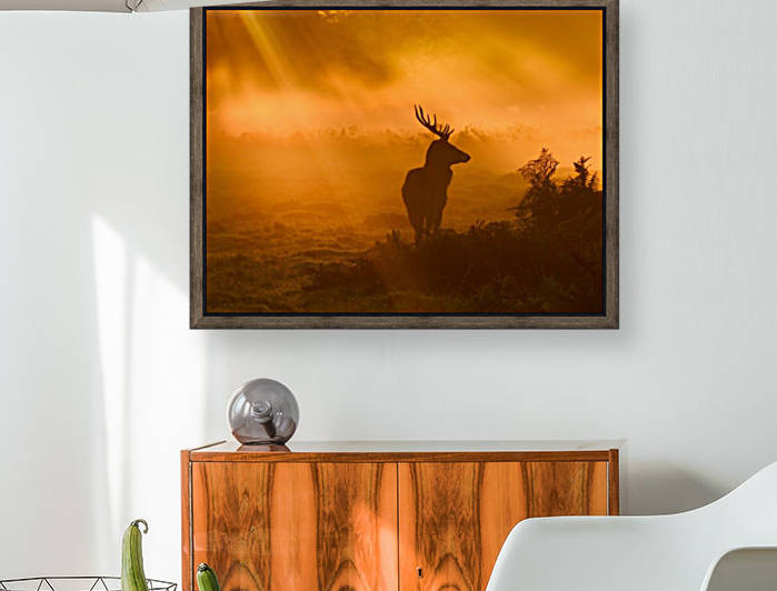 Guard Of Light by 1x