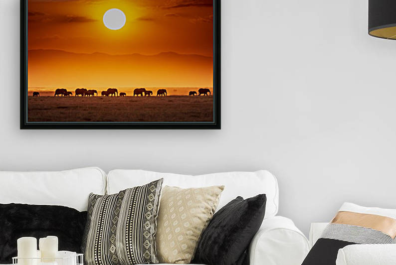 Sunrise parade by 1x